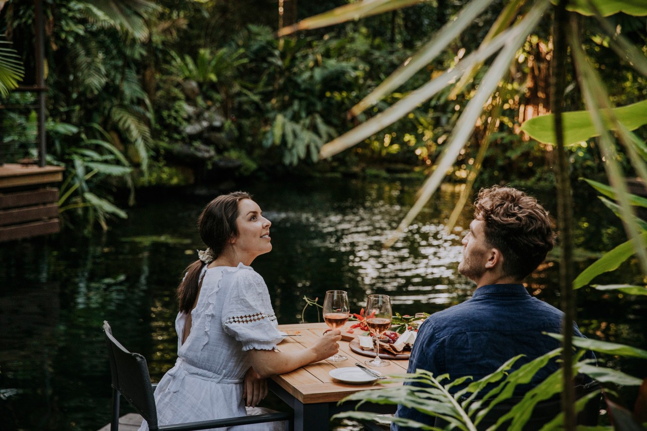 Visit Daintree Rainforest and Cape Tribulation Queensland