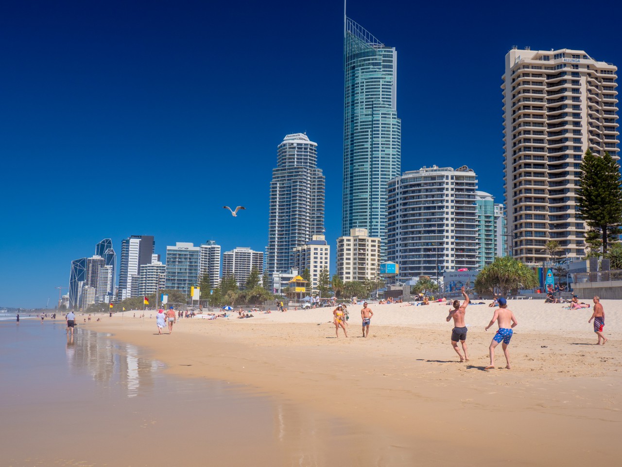 SURFERS INTERNATIONAL 골드코스트, QLD
