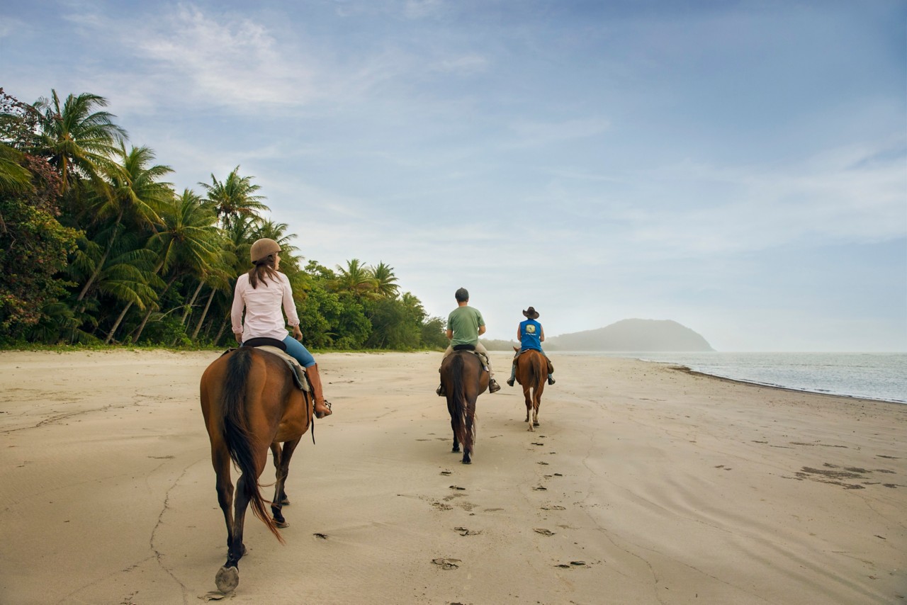 Saddle Up for the Best Beach Horse Riding Tours in Queensland Queensland