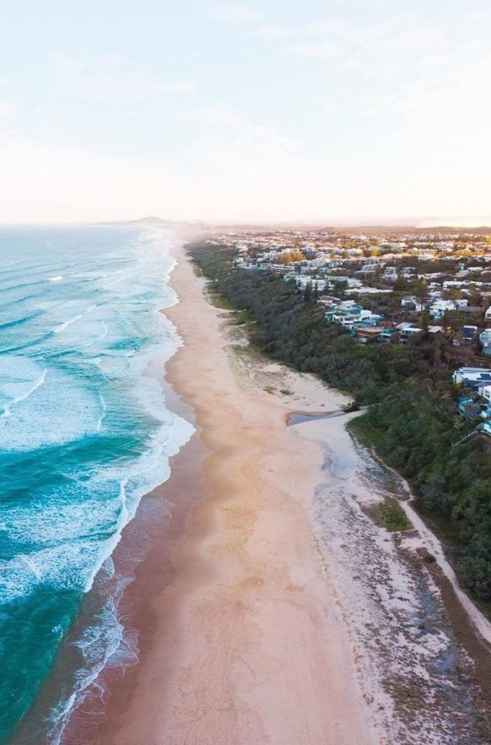 Best Dog Beaches On The Sunshine Coast Queensland