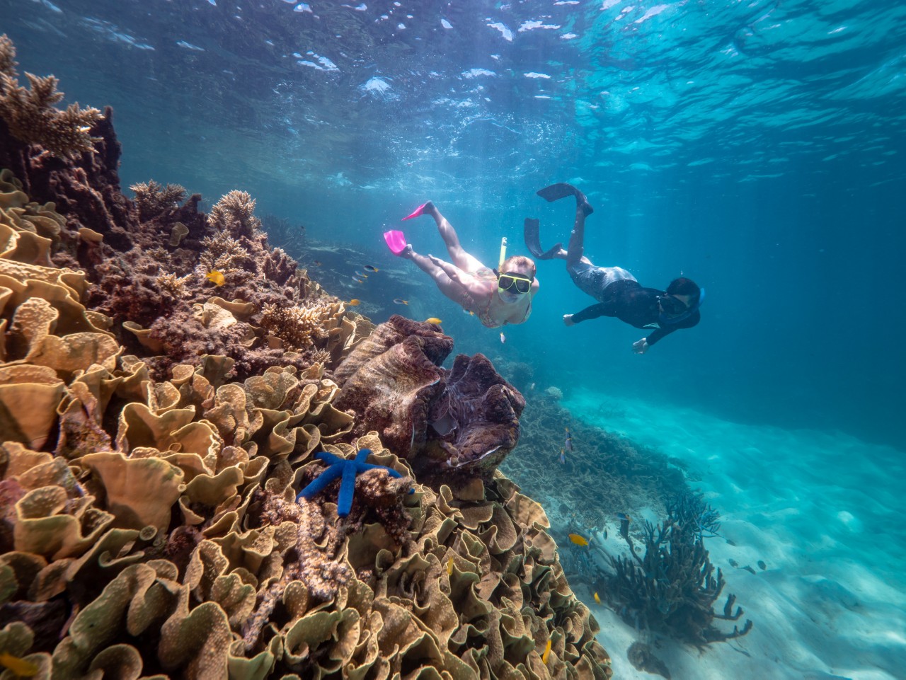 Best Ways to Spend a Day On the Great Barrier Reef Queensland