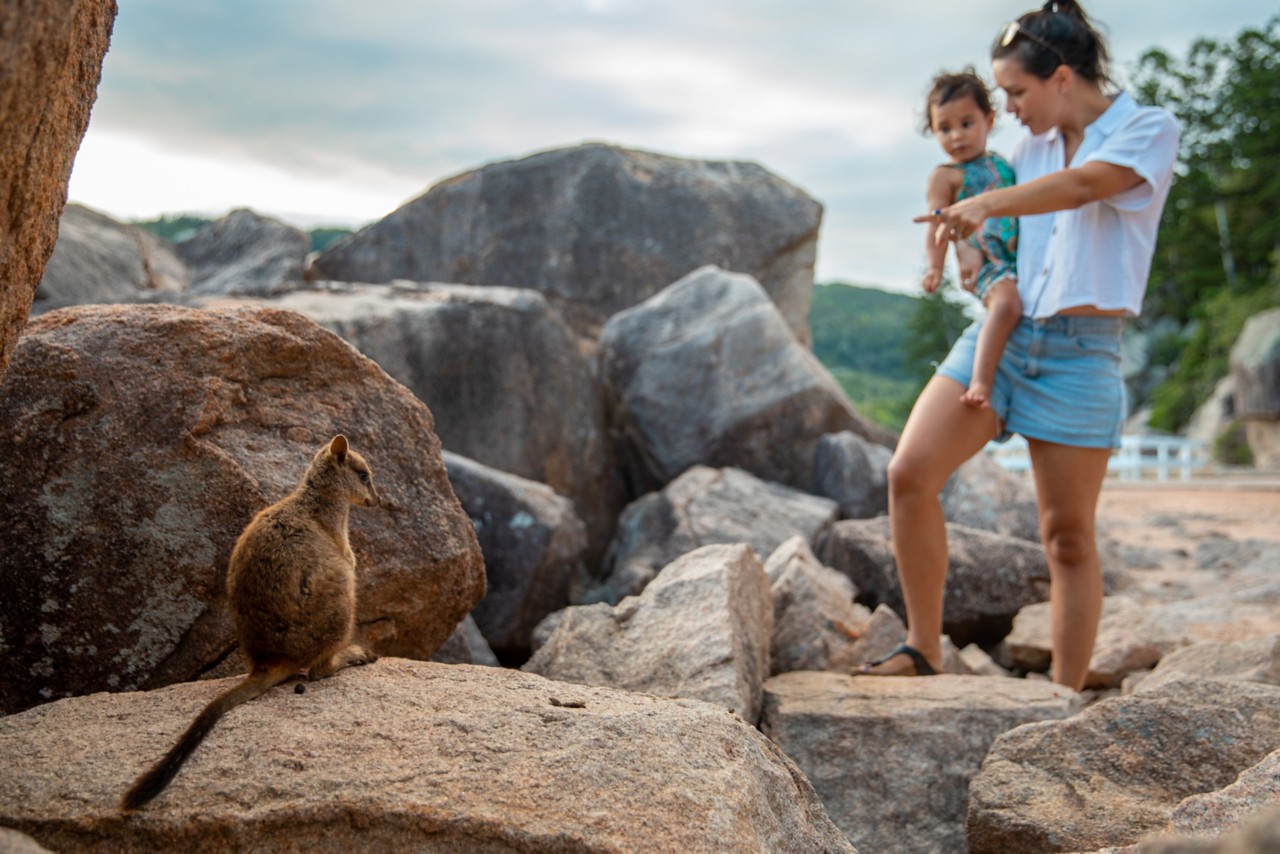 Magnetic island the perfect island for families queensland