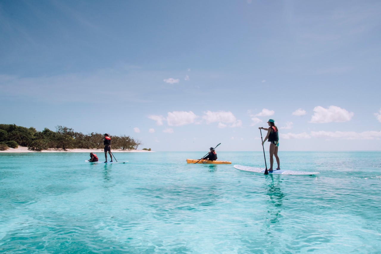 Everything You Need to Know for Planning a Trip to Heron Island