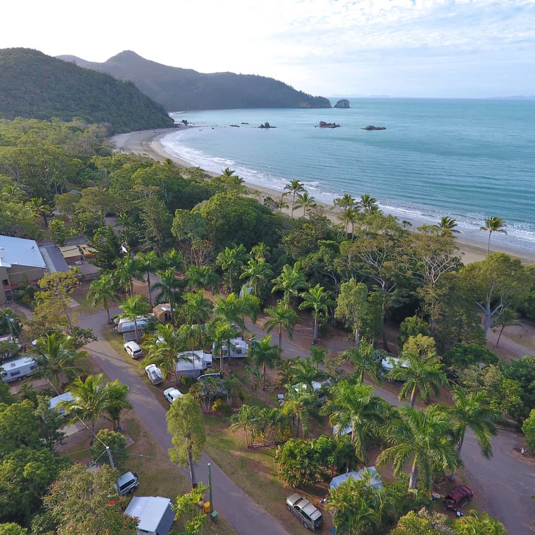 Discover Wallabies At Cape Hillsborough, Mackay Queensland