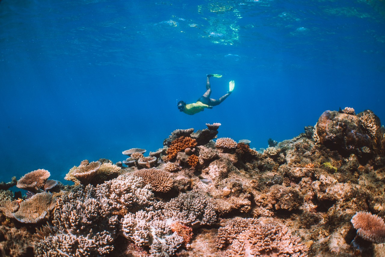 Do The Reef: Cairns and Great Barrier Reef 3-Day Itinerary | Queensland
