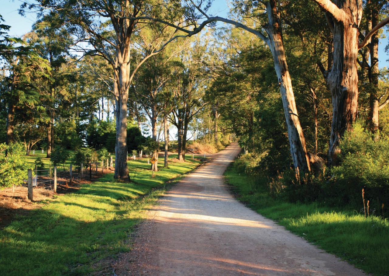 Escape to the Country What to do in Crows Nest Queensland