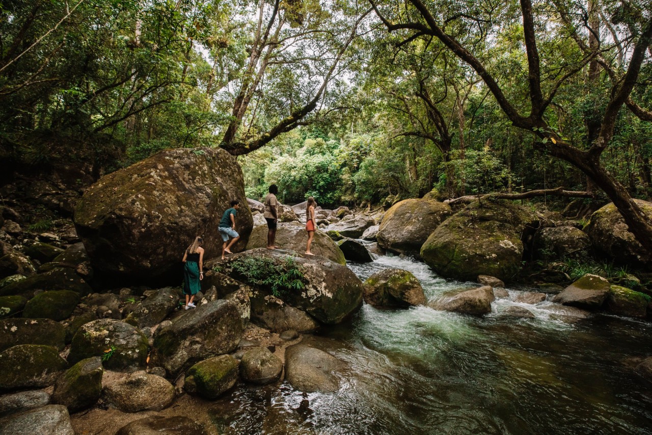 Cairns Great Barrier Reef S Best Indigenous Tours Queensland