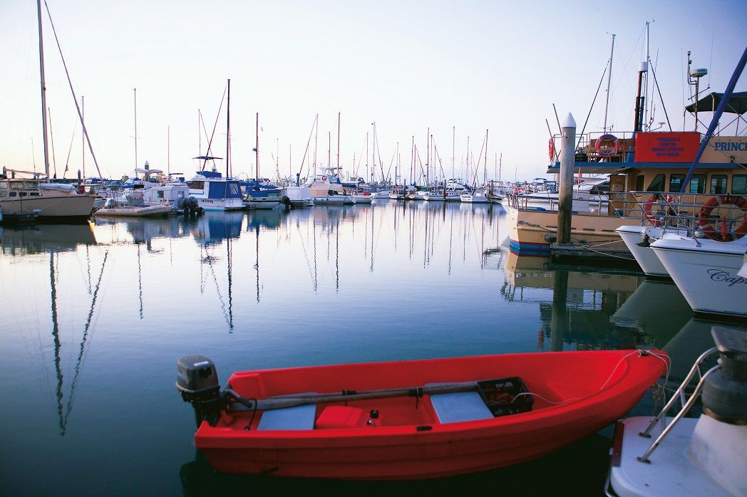 Your Guide to Fishing In Hervey Bay Queensland