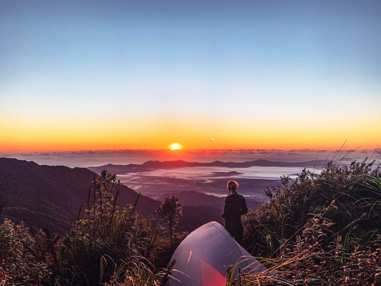Queensland Hiking Trails \u0026 Walking 