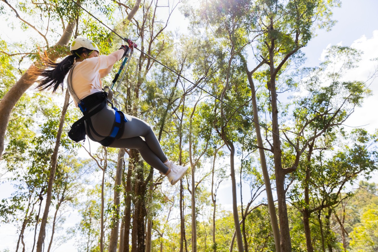 Epic Zipline & High Ropes Challenges In Queensland Queensland