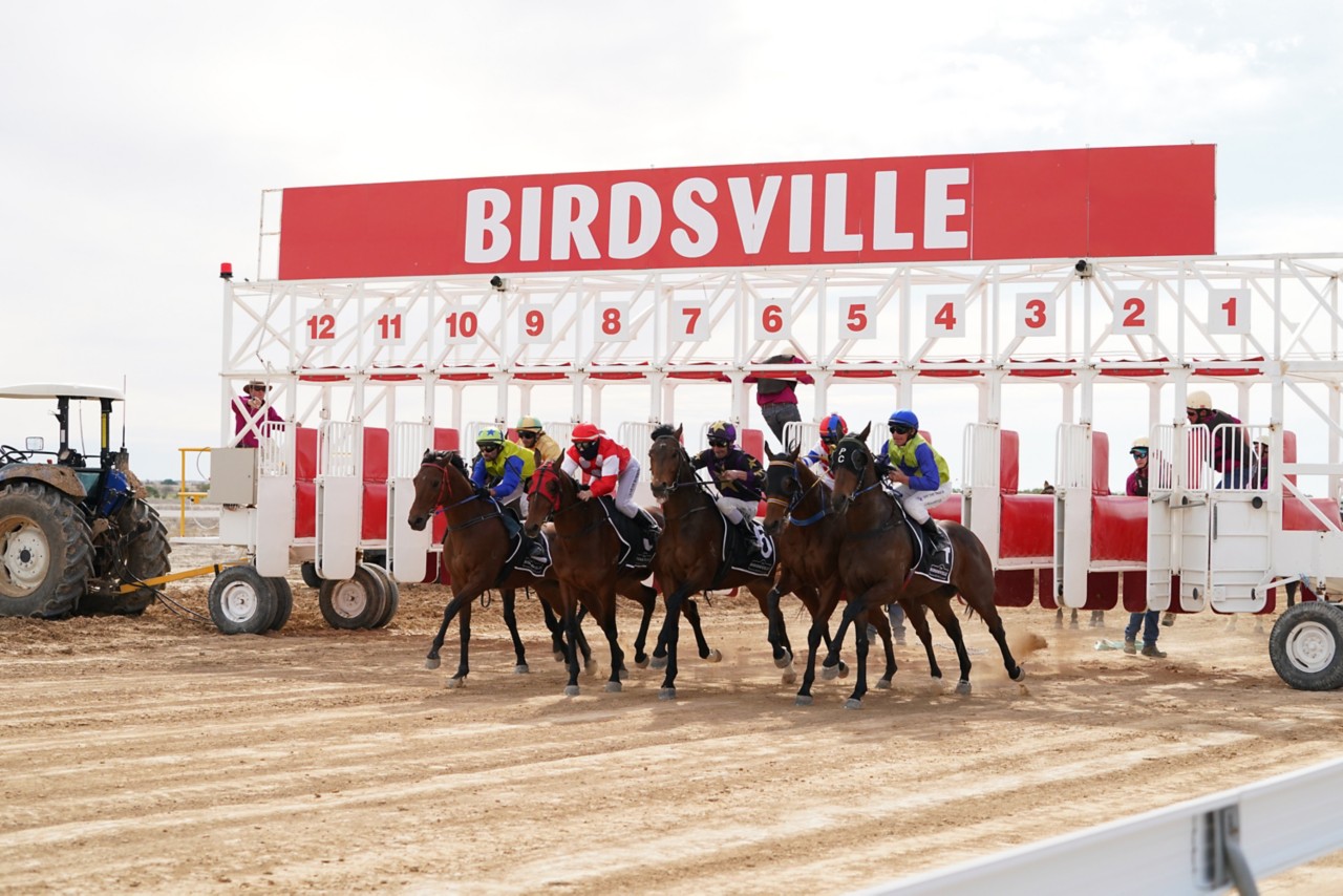 The Birdsville Races What to See and Do Queensland