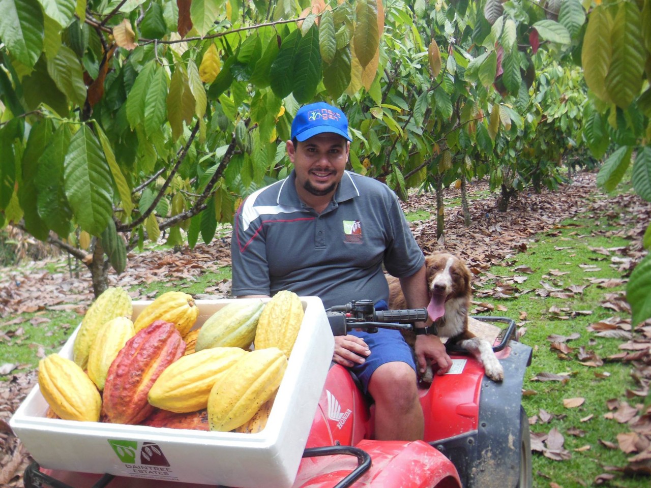 Your Guide to the Daintree Food Trail