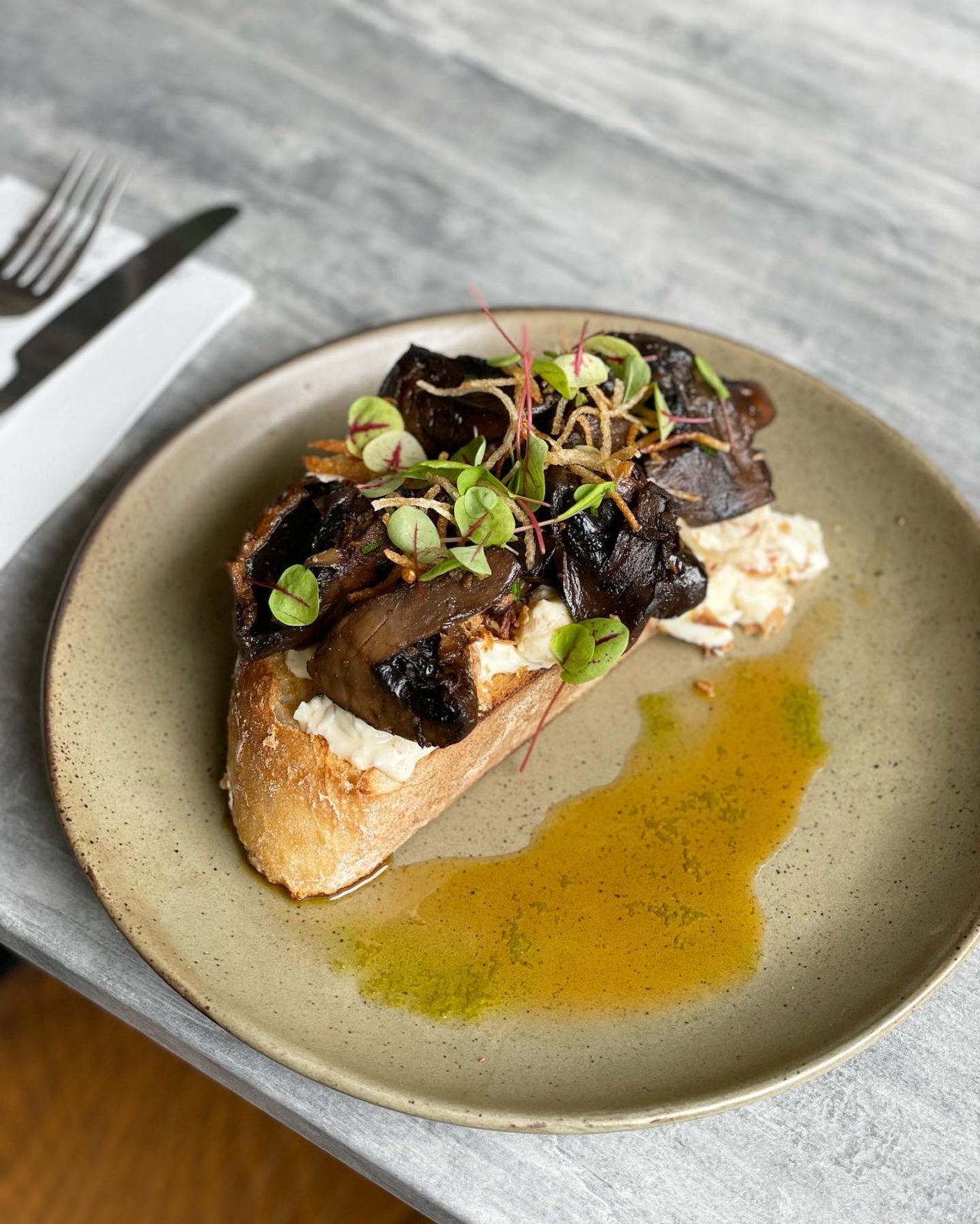 dog friendly stores 2018