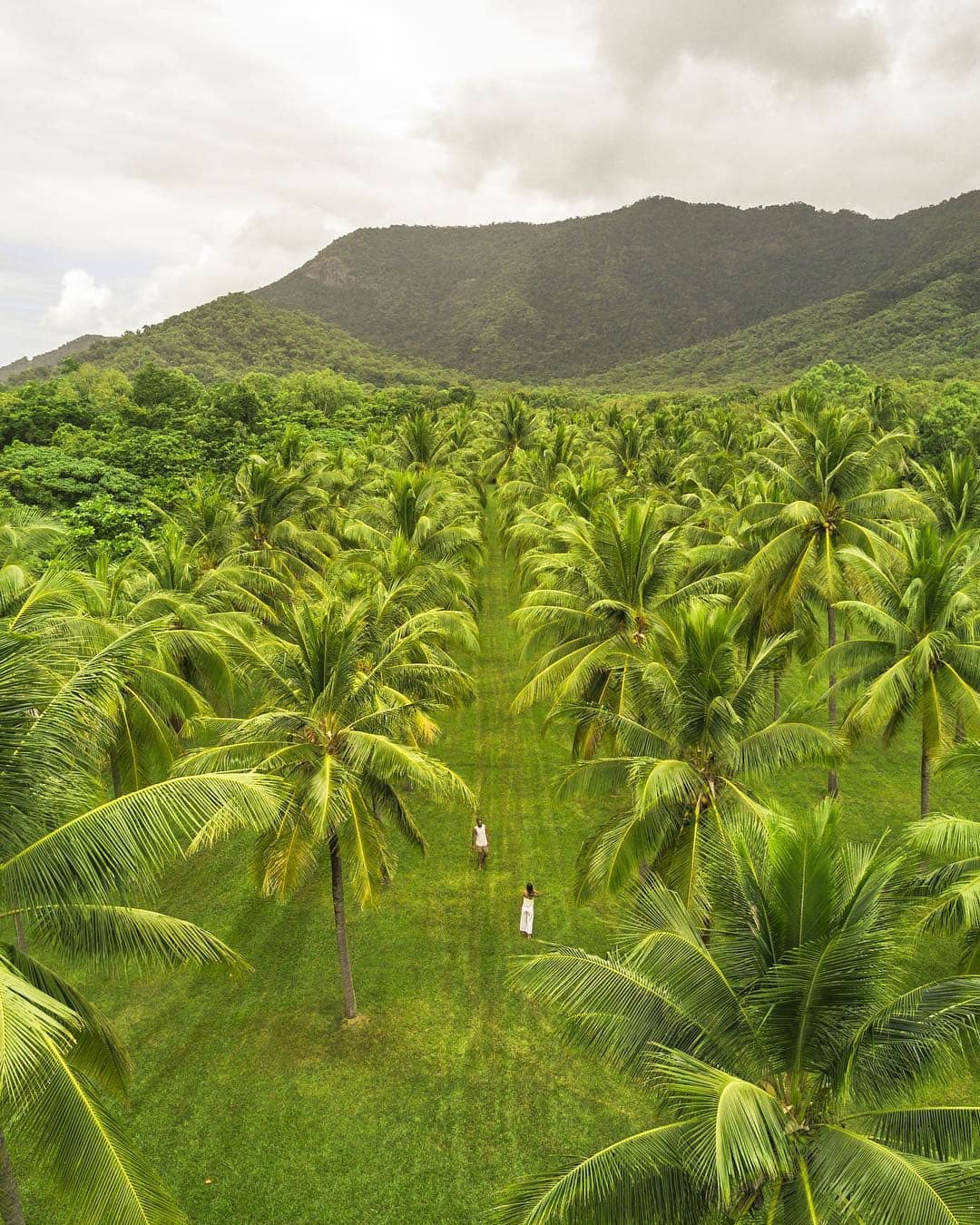 Thala Beach Nature Reserve Perfect for a Digital Detox Queensland