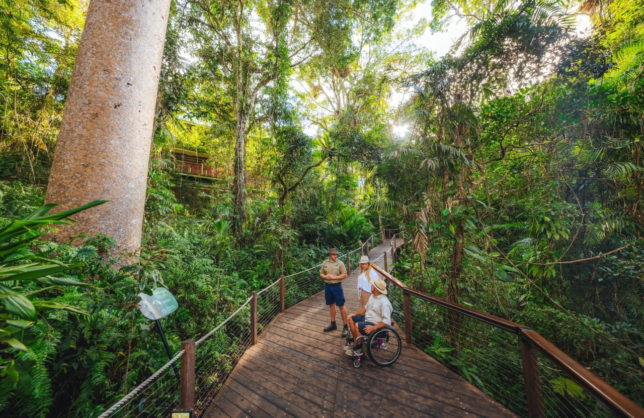 Wheelchair Accessible Walks QLD National Parks Queensland