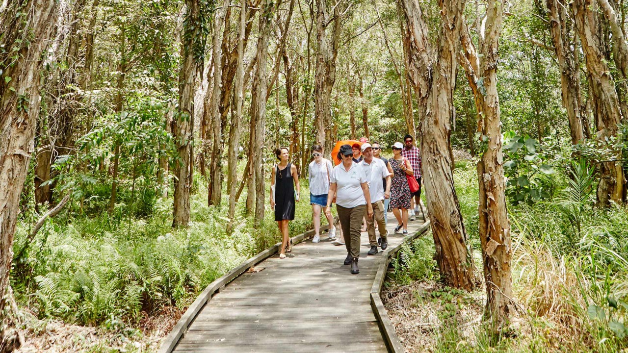 Study Tours and Professional Development Guide | Queensland