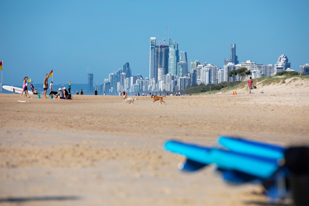 Your PetFriendly Guide to the Gold Coast Queensland