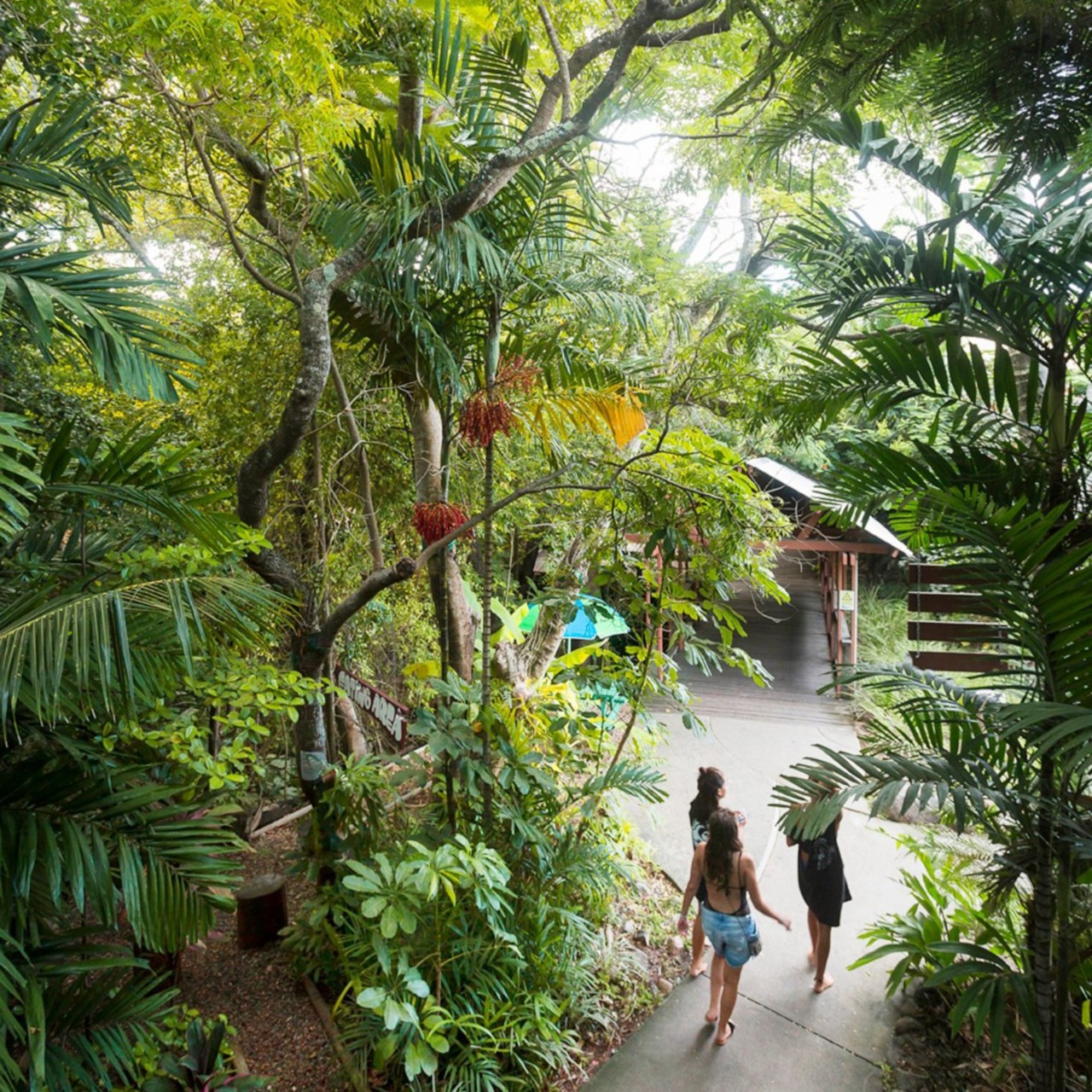 Backpacker Guide to Airlie Beach & The Whitsundays Queensland