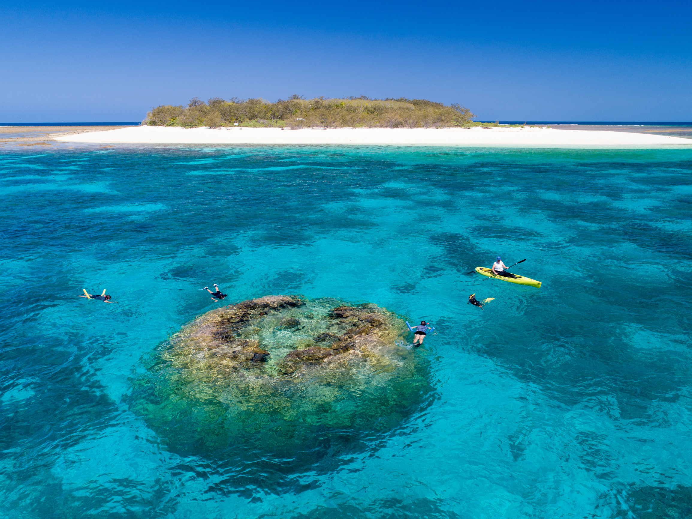 A couple snorkelling on the surrounding reef of Wilson Island | Turtle hatching Gladstone A couple snorkelling on the surrounding reef of Wilson Island | Turtle hatching Gladstone