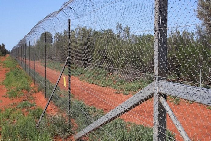 Save the Bilby Fund Save the Bilby Fund