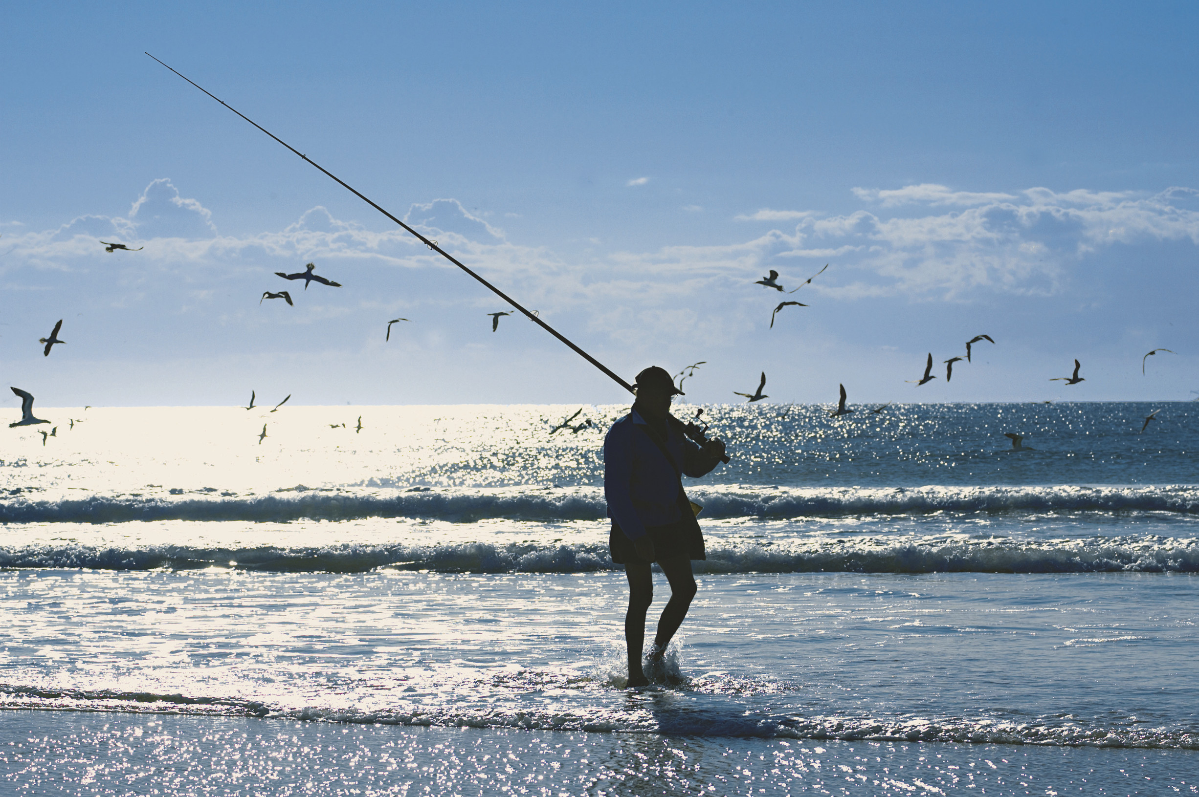 Mullet Fishing at Flinders Beach Mullet Fishing at Flinders Beach
