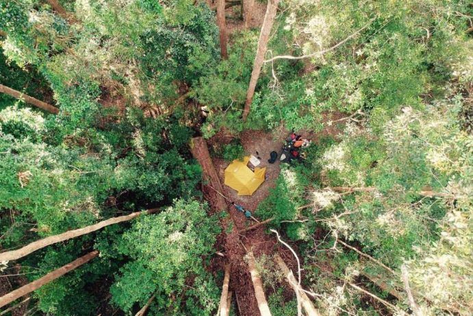 Booloumba Creek | secret camping near Brisbane Booloumba Creek | secret camping near Brisbane