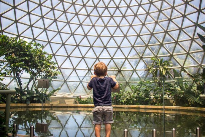 Brisbane Botanic Gardens | Things to do in Brisbane for the whole family