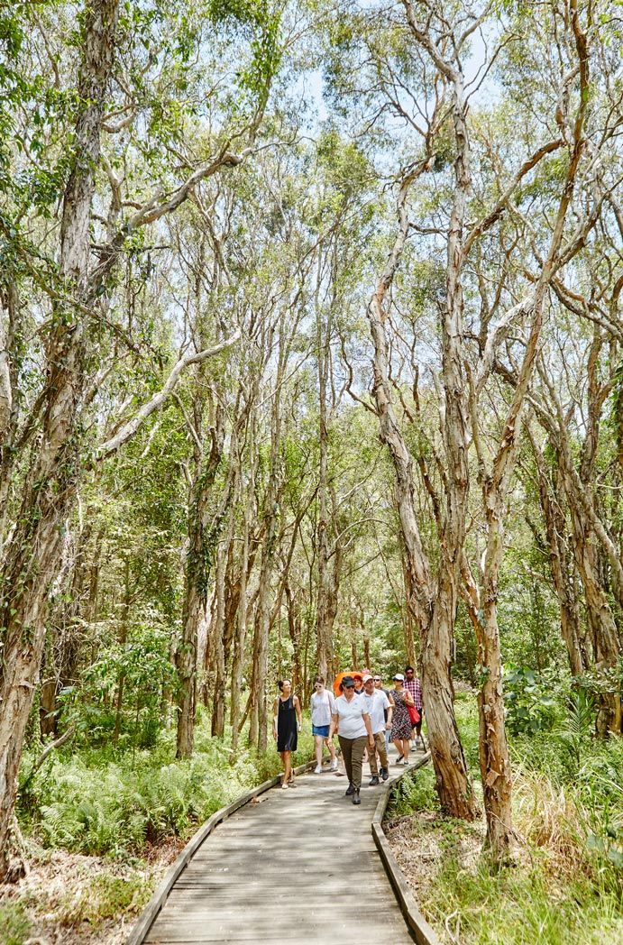 Discover the Indigenous Culture of South East Queensland | Queensland