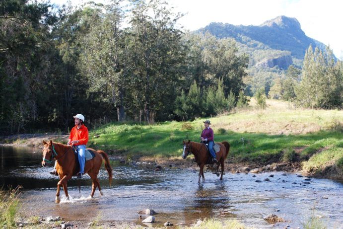 Cedar Glen Farmstay | Queensland's best farm stays Cedar Glen Farmstay | Queensland's best farm stays