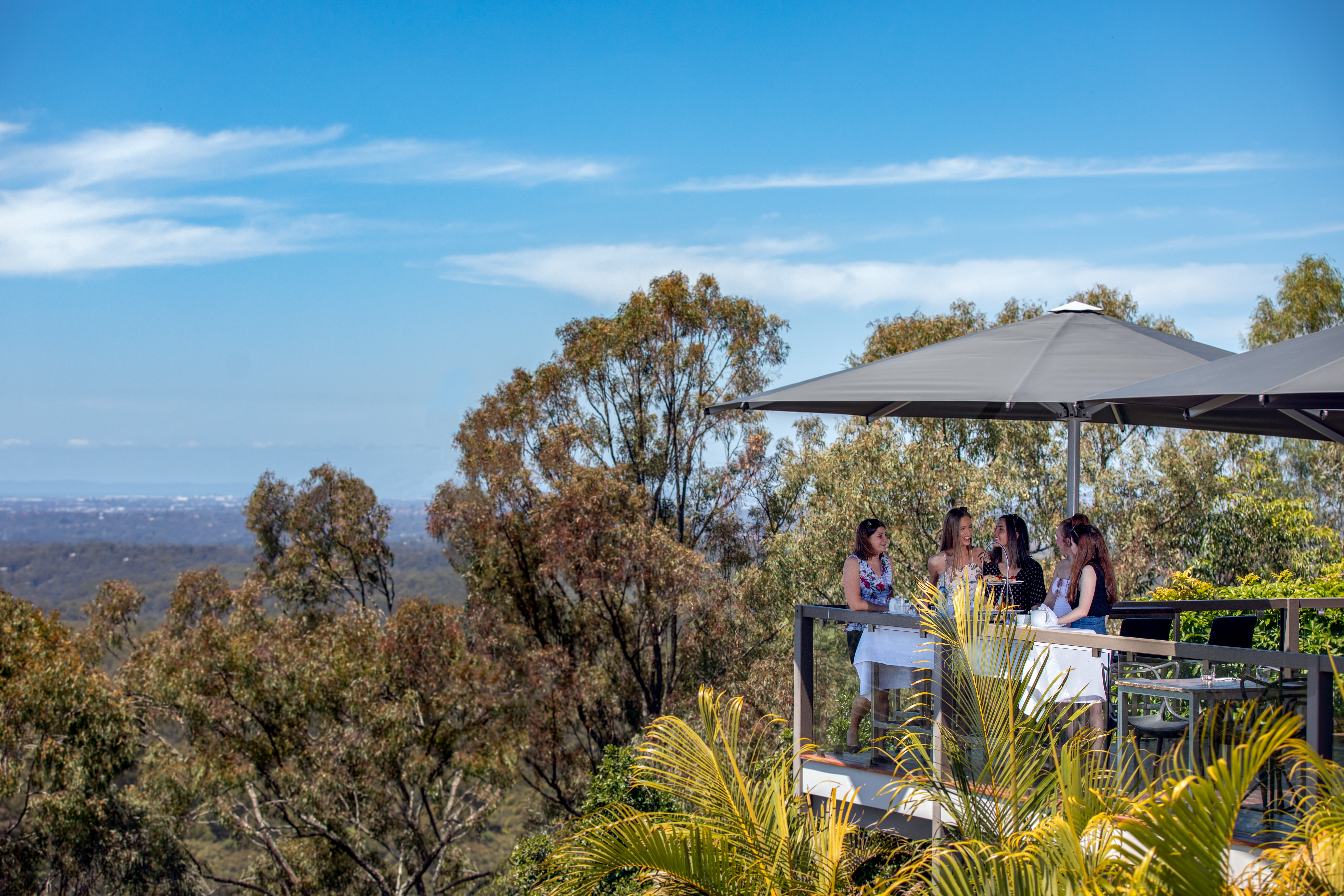 Group on deck overlooking view at Mercure Clear Mountain Lodge