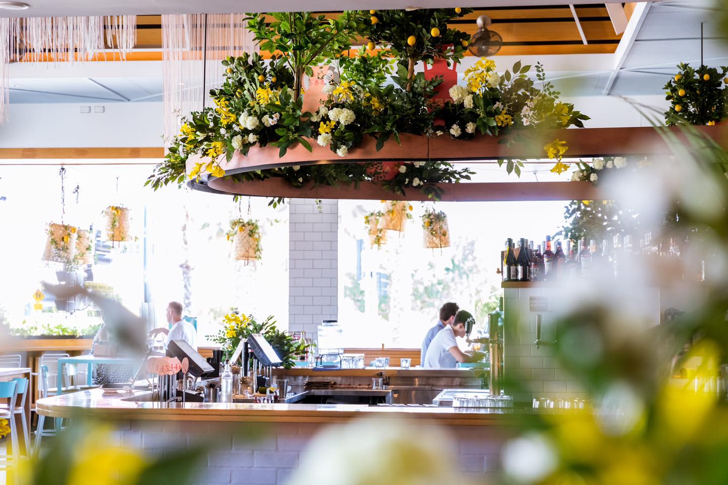Darling & Co, Paddington | LGBTIQ First Date Brisbane Darling & Co, Paddington | LGBTIQ First Date Brisbane