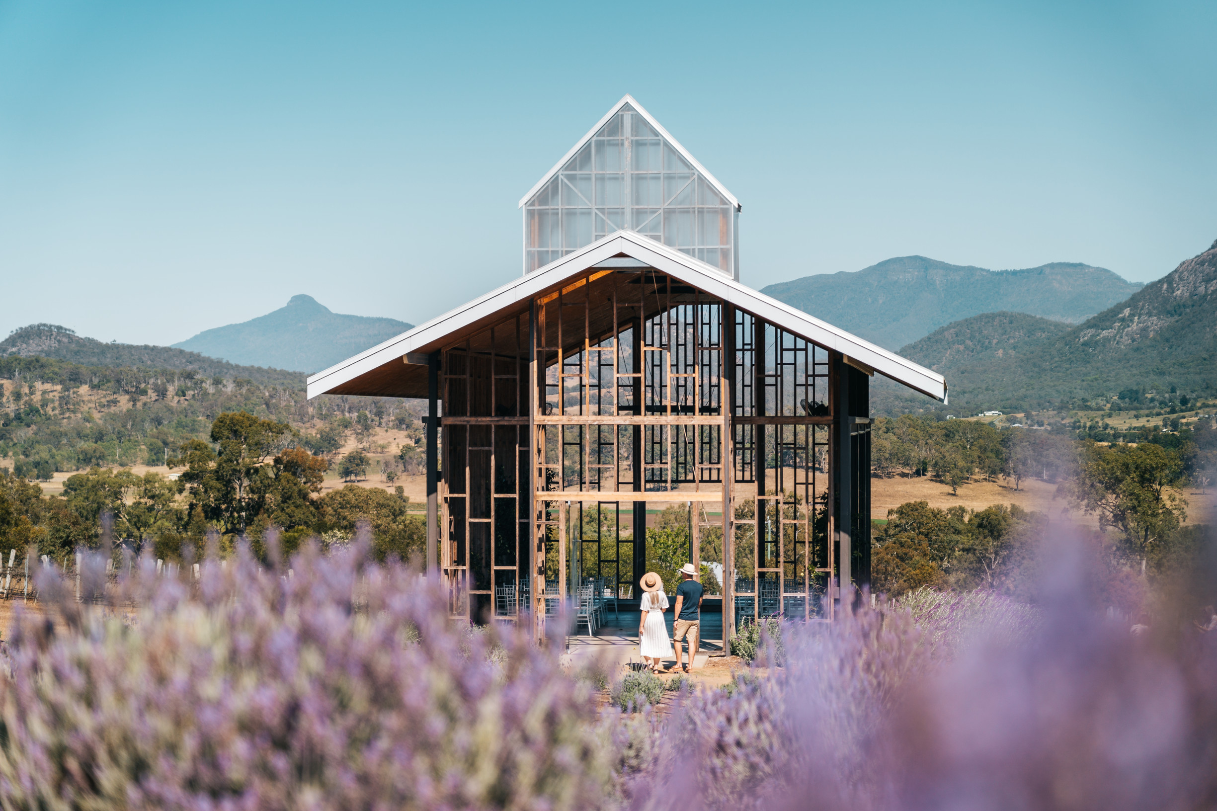 Couple walking through the lavender fields