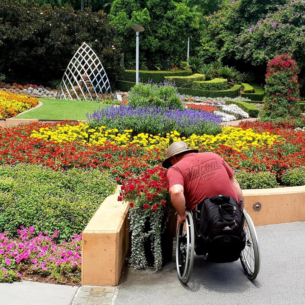 Man in wheelchair Roma Street Parkland | free things to do Brisbane Man in wheelchair Roma Street Parkland | free things to do Brisbane