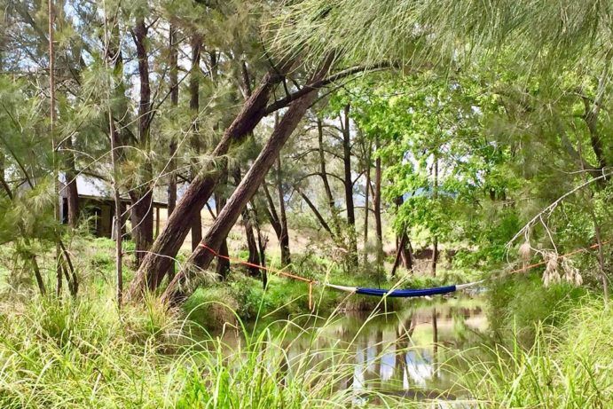 Worendo Cottages | best Queensland farm stsy Worendo Cottages | best Queensland farm stsy