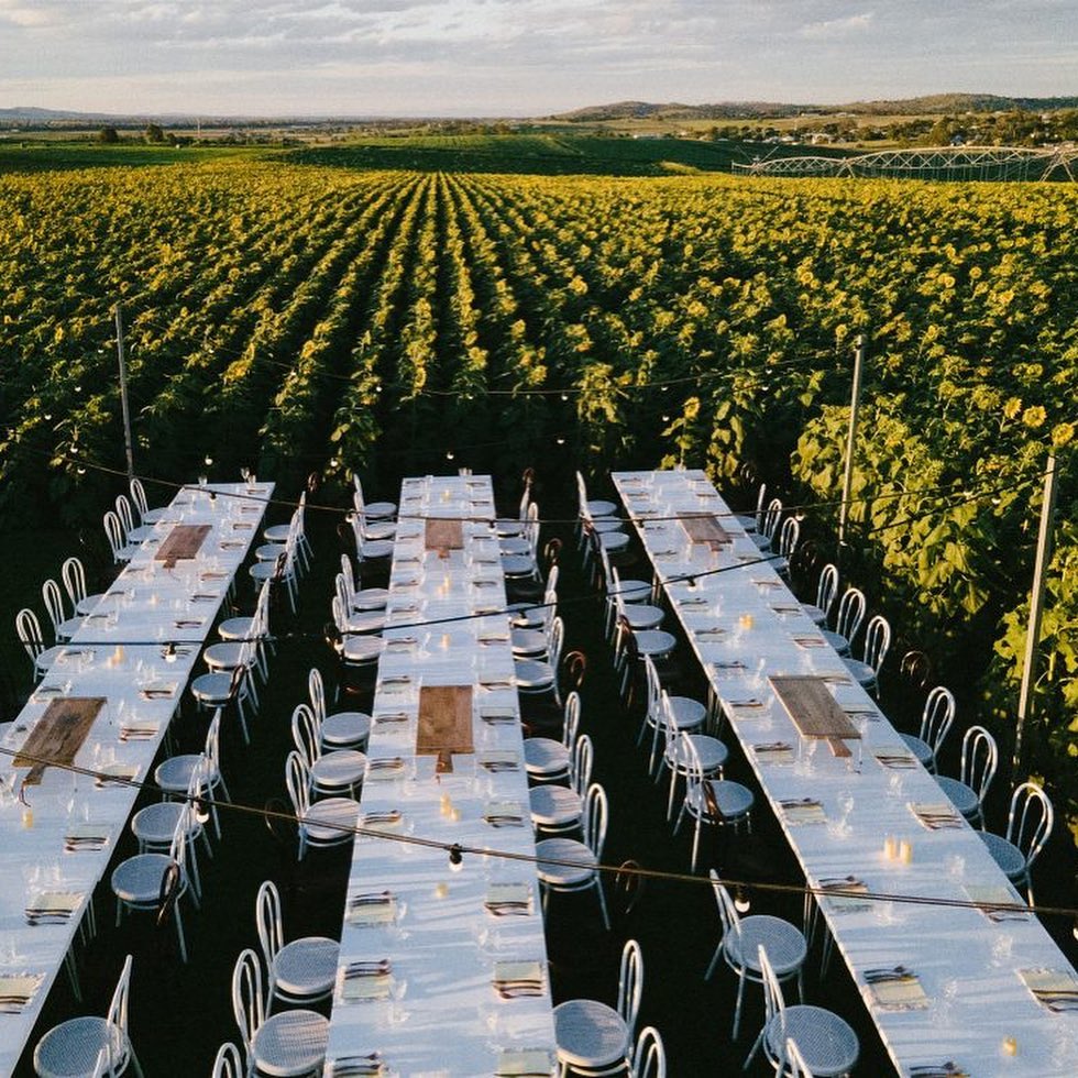 Kalbar Sunflower Festival long table dinner Kalbar Sunflower Festival long table dinner