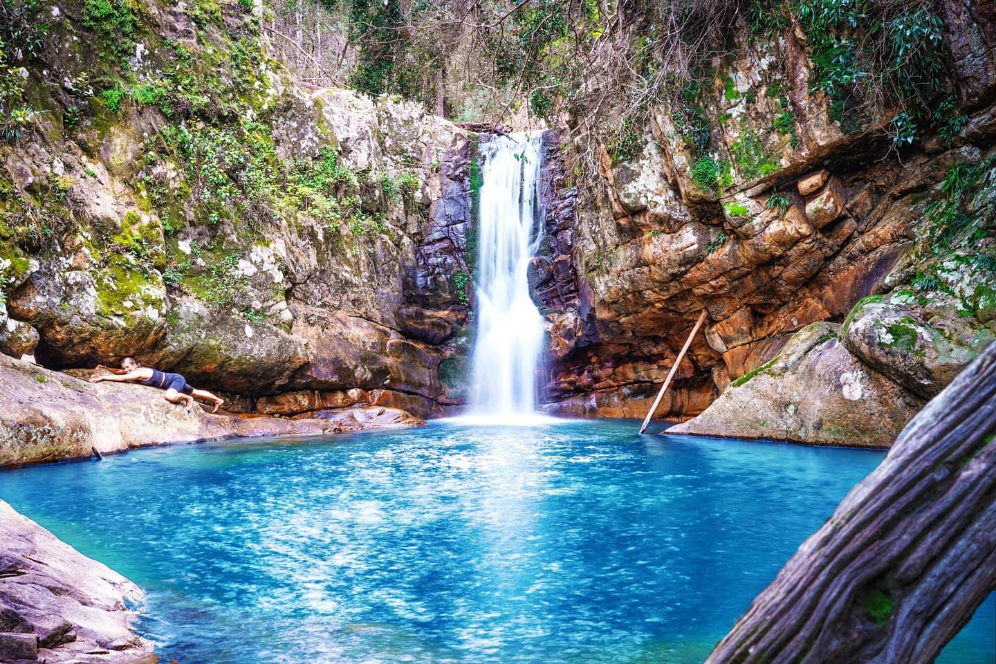 Cronan Creek Falls Mt Barney National Park | waterfalls Gondwana Rainforest