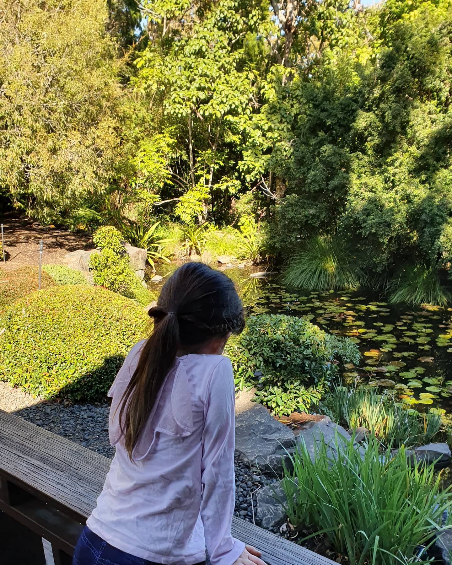 Queens Park Ipswich | things to do Ipswich Queens Park Ipswich | things to do Ipswich