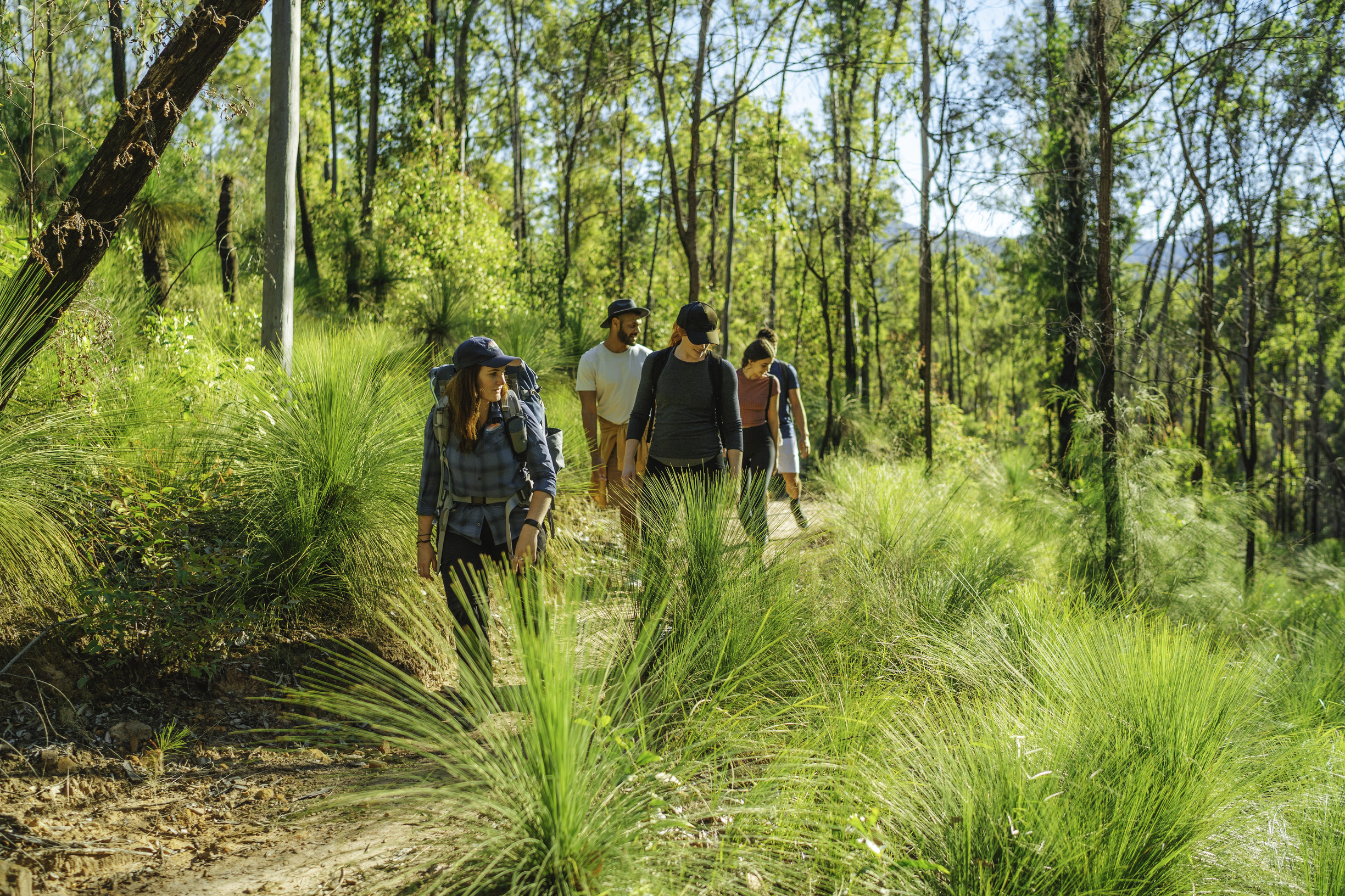 Small group exploring Lower Portal Walk in Mount Barney National Park
