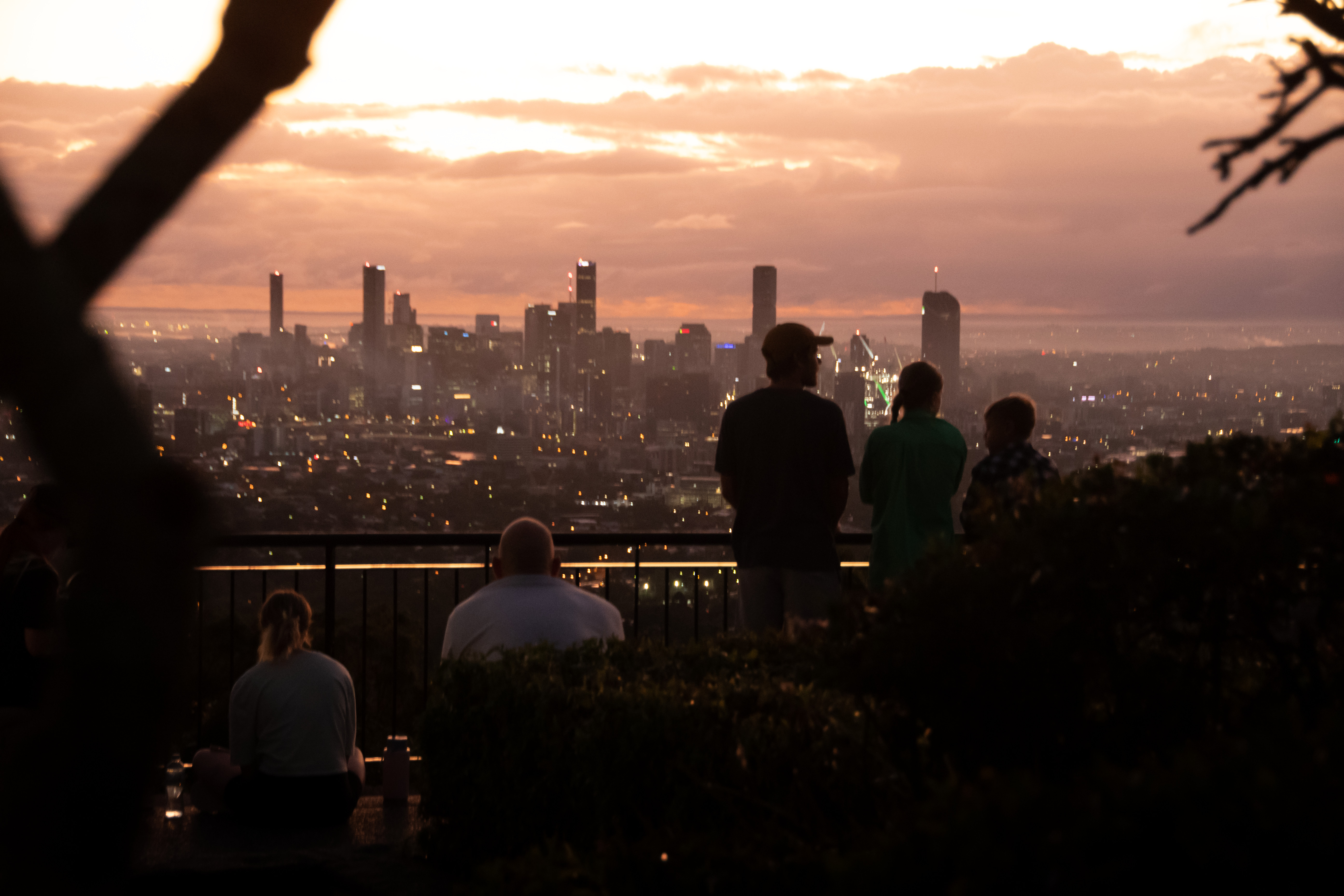 What to Do at Brisbane's Mount Coot-tha for Adventure | Queensland