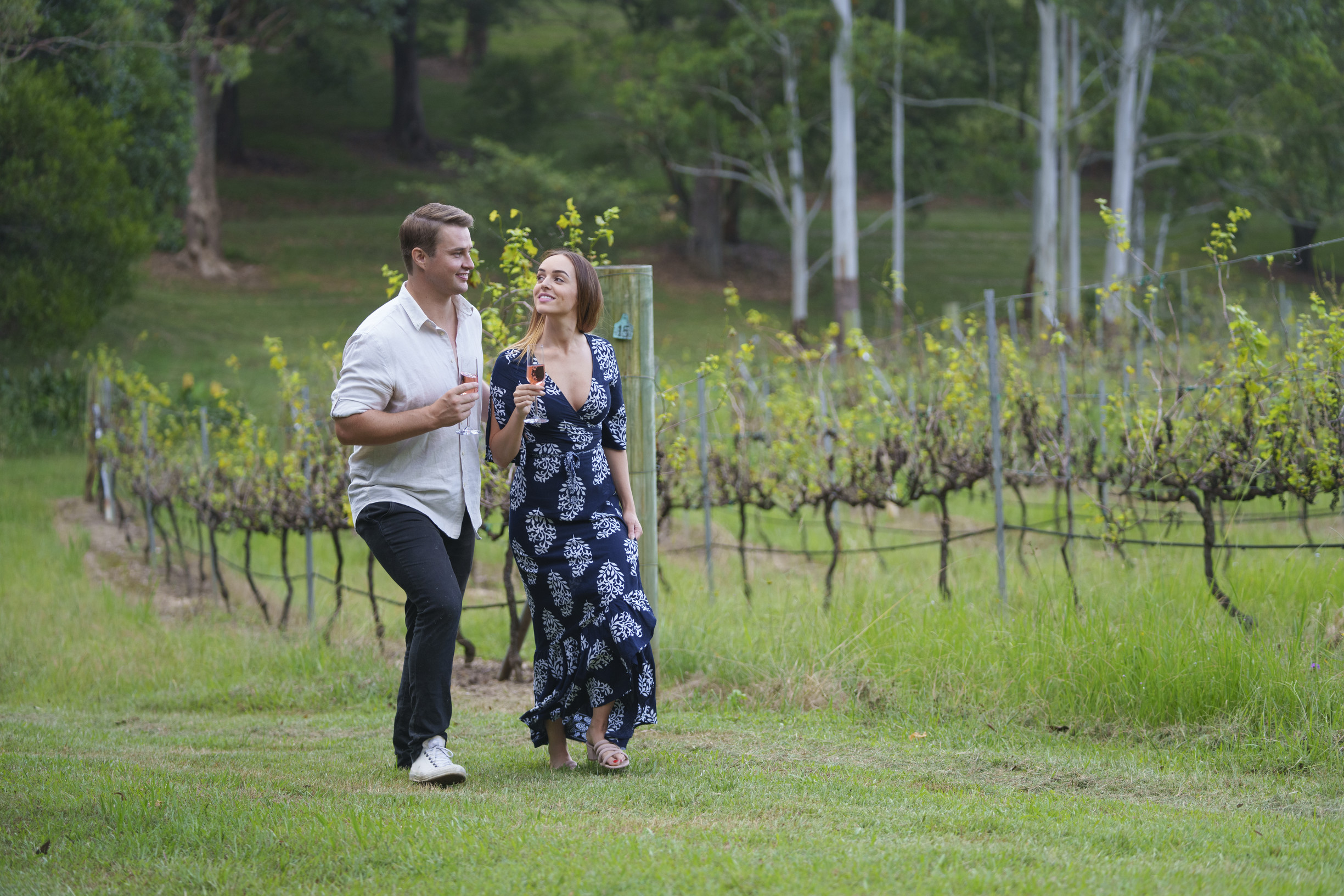Couple holding a glass of wine each while walking among the vineyard at Ocean View Estates Couple holding a glass of wine each while walking among the vineyard at Ocean View Estates