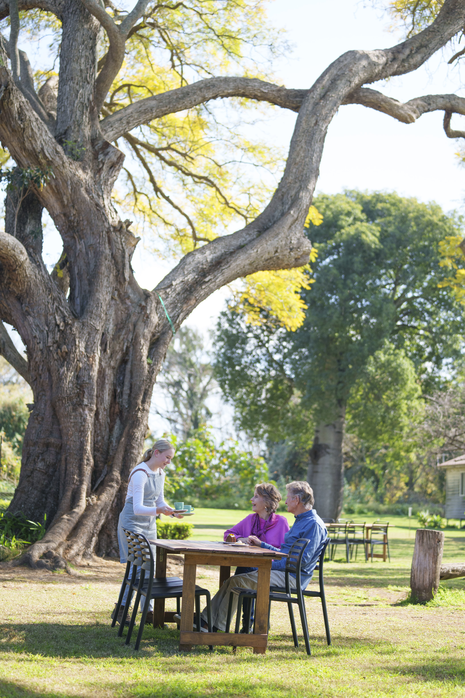 Waiter serves coffee to a couple sitting at an alfresco table under a big tree