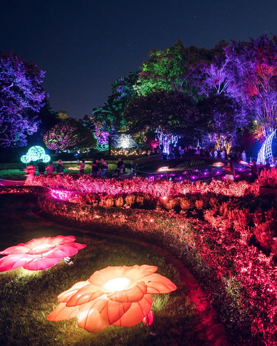 Sparkling Christmas lights through garden and trees as part of The Enchanted Garden, Roma St Parkland, Brisbane