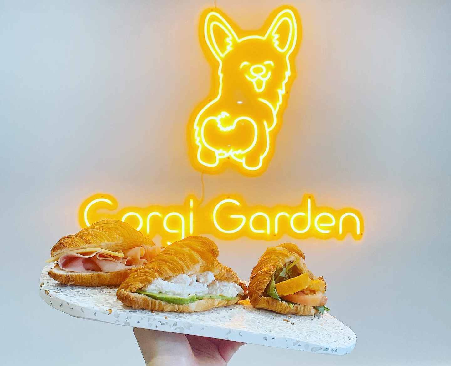 Corgi Garden in Milton Corgi Garden in Milton