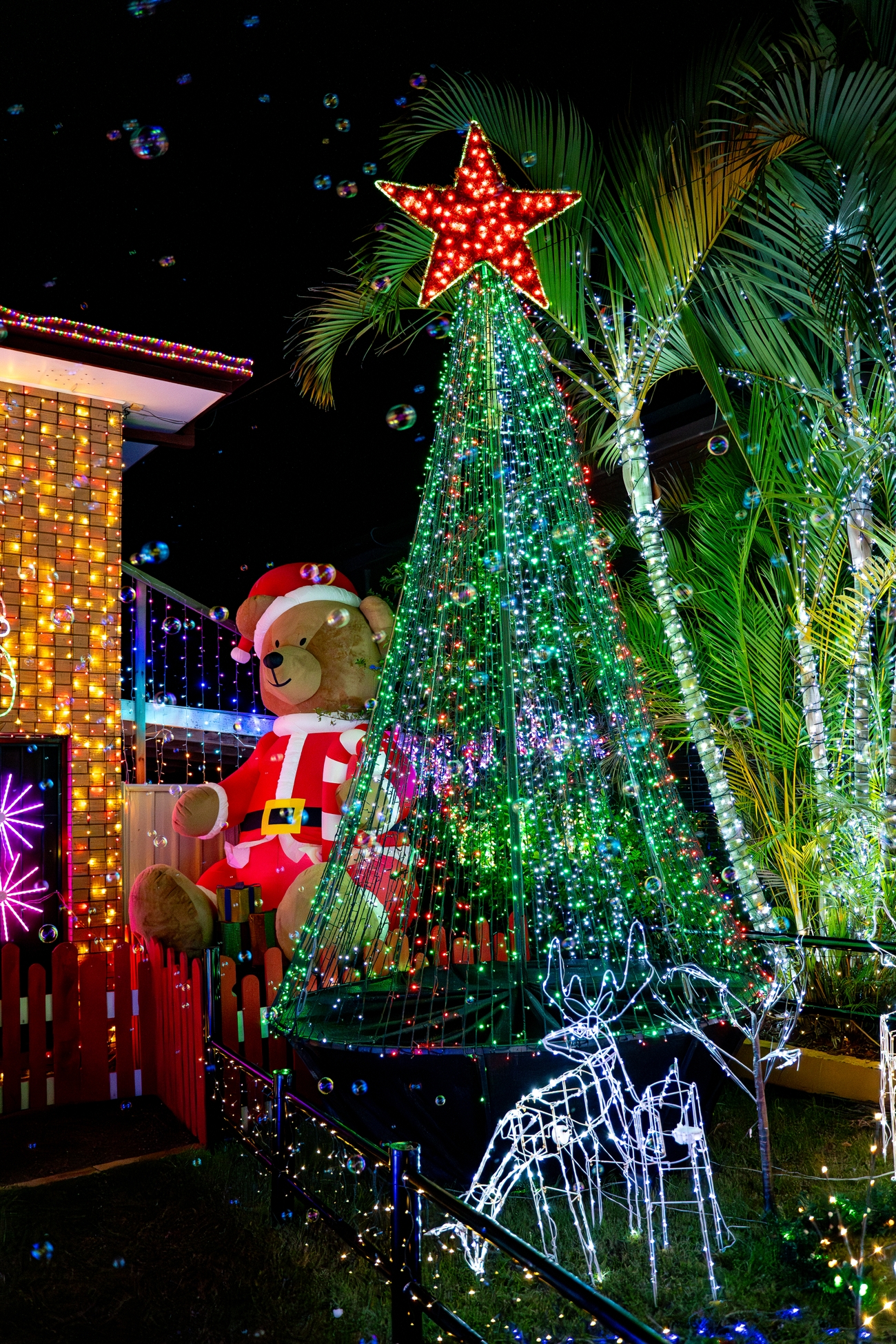 Christmas lights and a Christmas tree twinkle outside a house in Ipswich