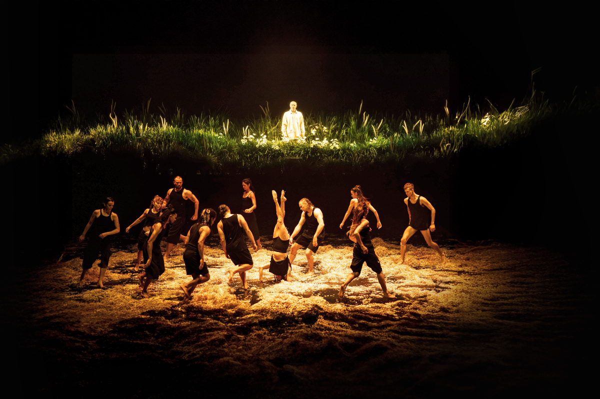 Dancers perform at Brisbane Festival