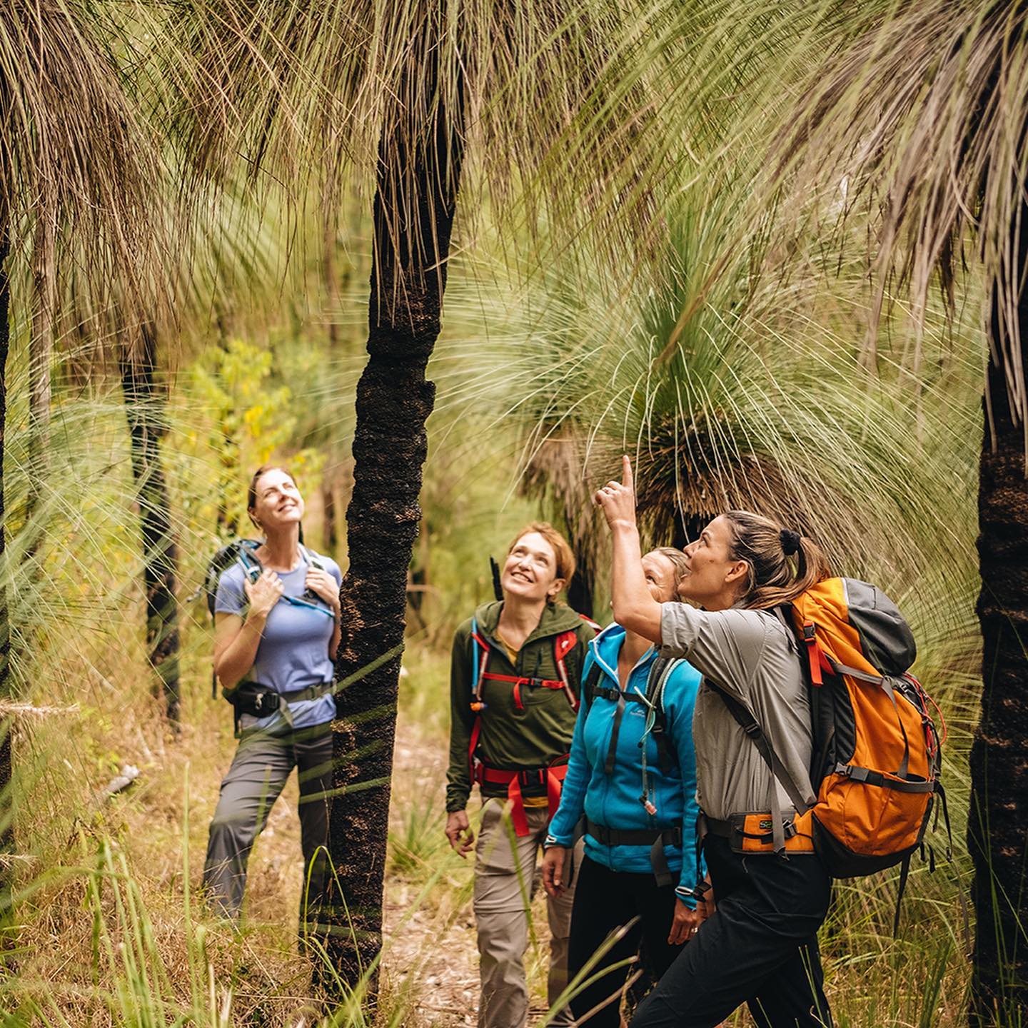 People on the Scenic Rim Trail