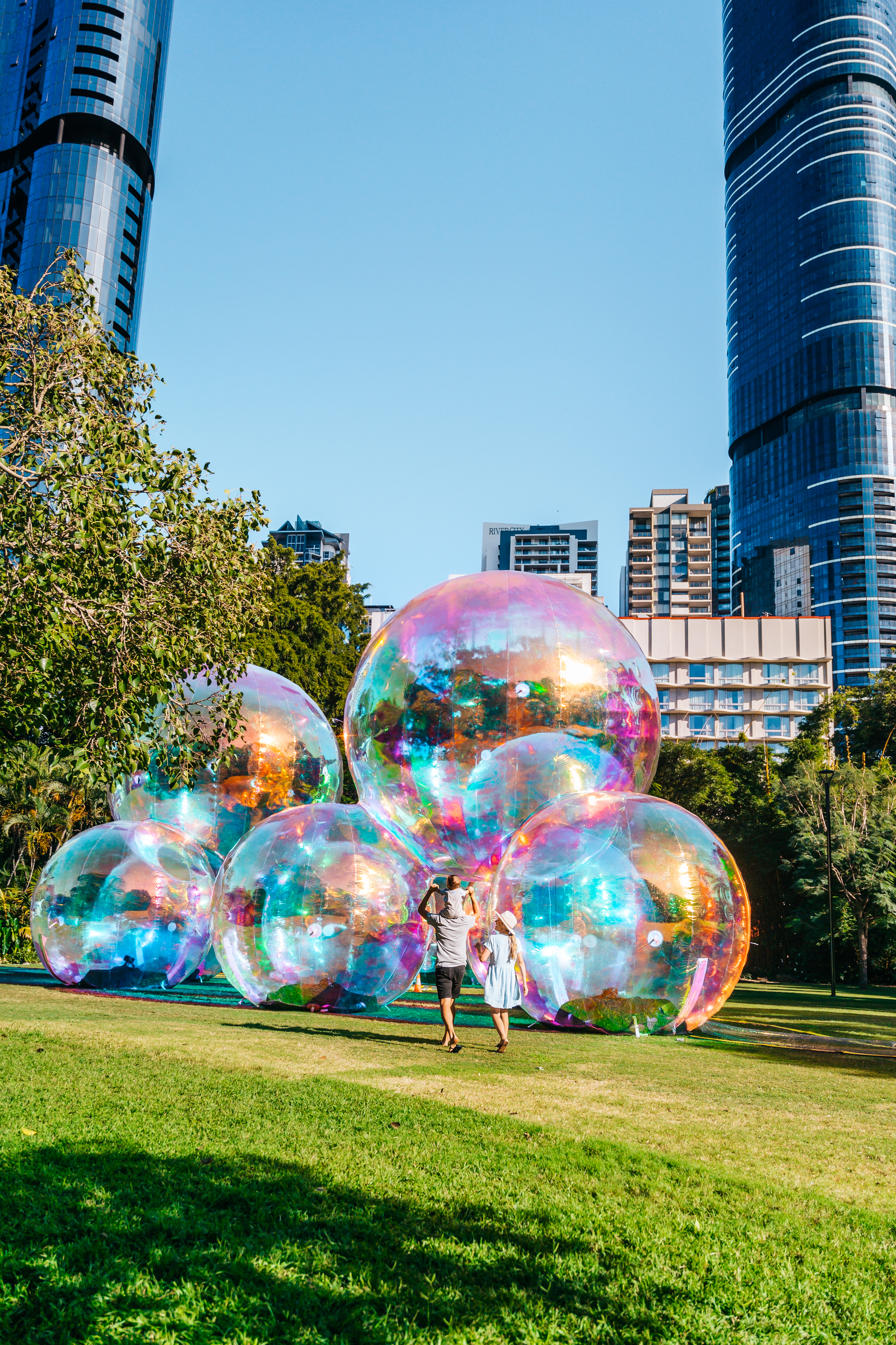 Curiocity | Brisbane City Botanic Gardens
