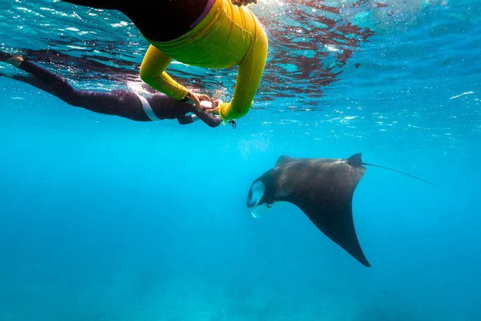 Lady Elliot Island Lady Elliot Island