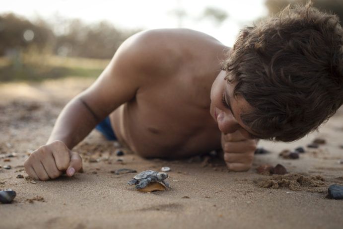 Turtle Hatchling Mon Repos | things to do with kids Bundaberg Turtle Hatchling Mon Repos | things to do with kids Bundaberg