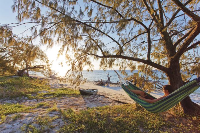 camping Lady Musgrave Island | Gladstone QLD locals guide camping Lady Musgrave Island | Gladstone QLD locals guide